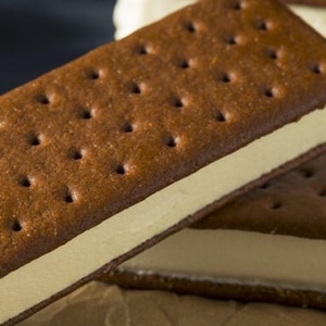 Freeze dried ice cream sandwiches-amazing ice creamy sandwiches for camping or snacks, hiking ice cream snacks