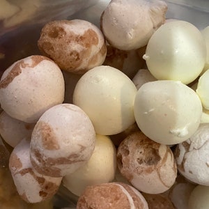 May include: A close-up shot of a collection of round, white and light brown treats. Some are solid white, while others have a marbled, light brown pattern. The treats are tightly packed together, filling the frame.