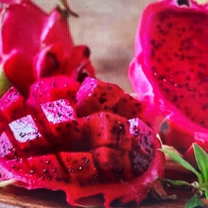 NEW Freeze Dried Dragon Fruit - Dragon Fruit Tea Flavoring - freeze dried dragon fruit chunk-100%fruit-best sweet quality best health-POWDER