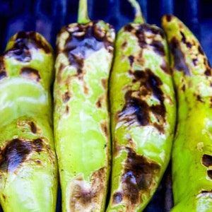 May include: Four green peppers are charred on a grill. The peppers have a dark brown color from being grilled.