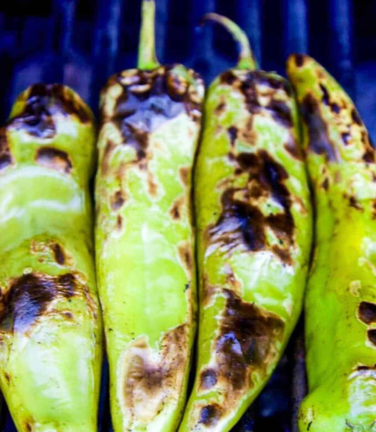 Freeze Dried Fresh Hatch Green Chili Food Gift Diced Hatch Chilis Fresh