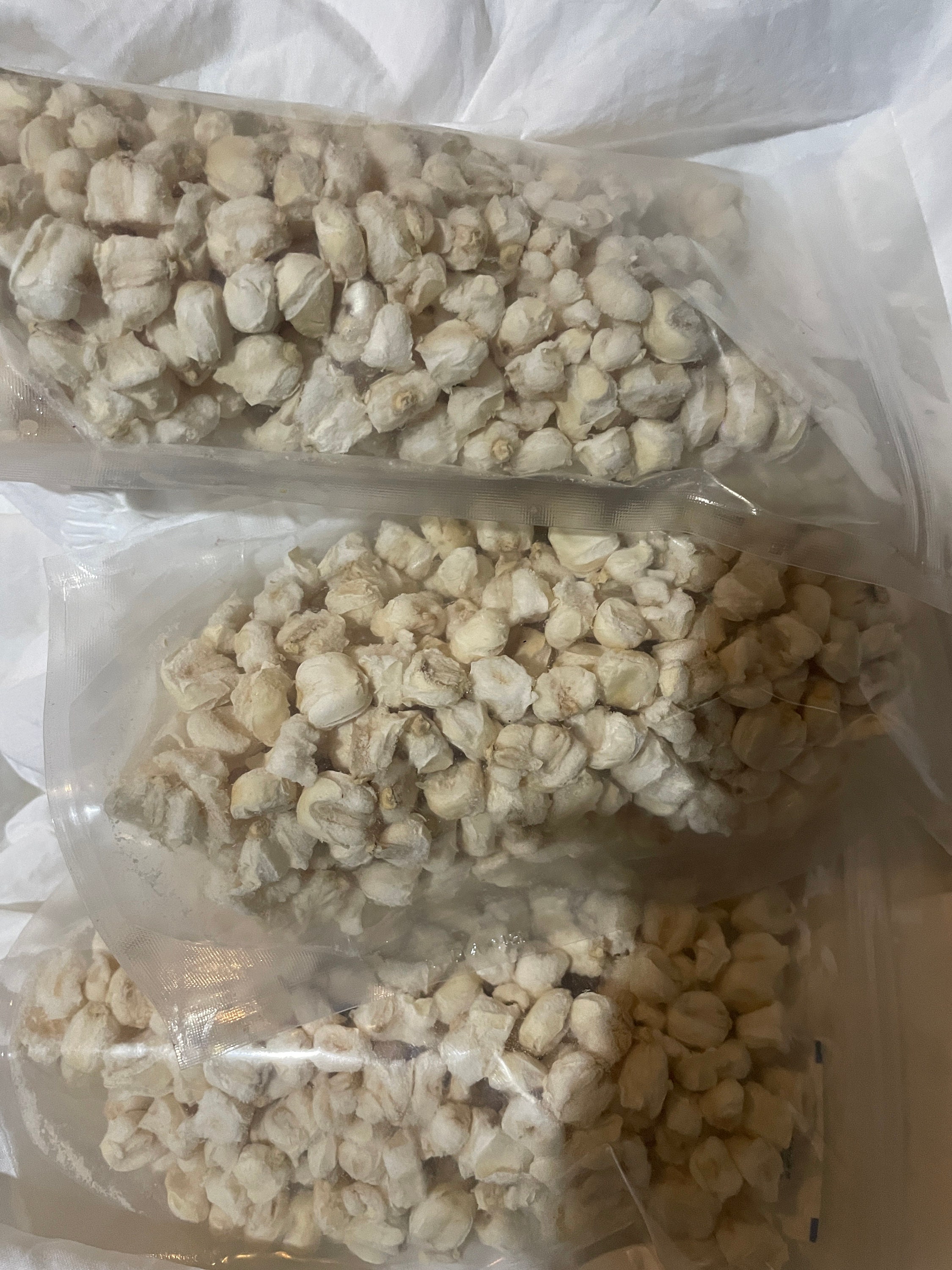 Hominy, Freeze Dried Hominy hominy for Long Term Storage, Shelf Stable