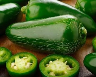 Gefriergetrocknete, scharfe Snackmischung: marinierte, scharfe Jalapeños, scharfe Essiggurken und eingelegter Kaktus