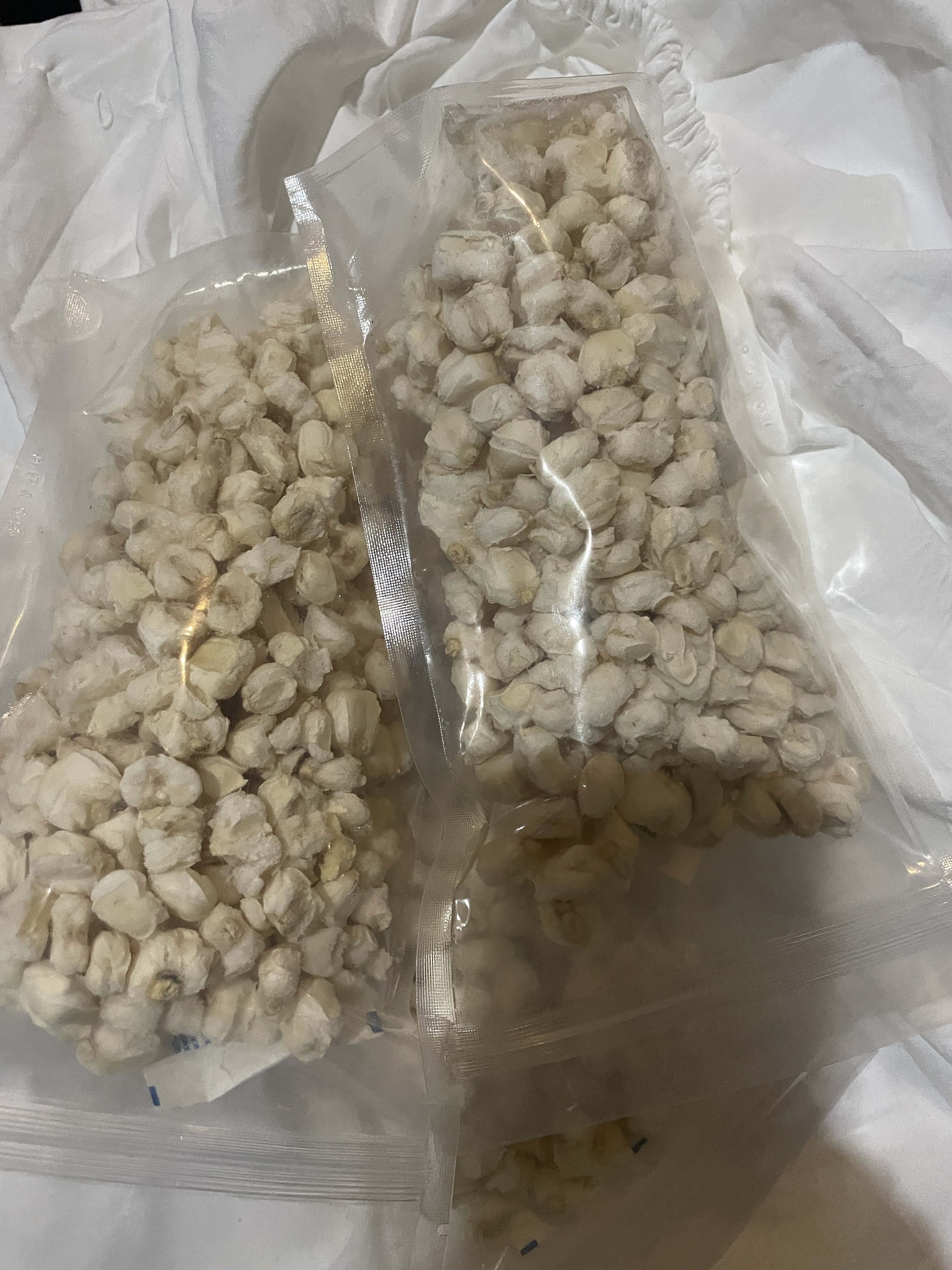 Hominy, Freeze Dried Hominy hominy for Long Term Storage, Shelf Stable