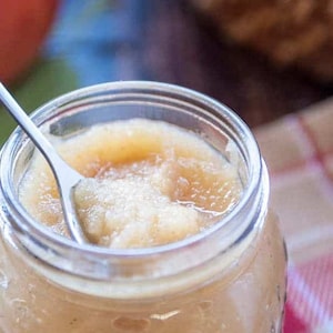 Bocados de puré de manzana liofilizado sin azúcar - bocadillos de puré de manzana sin azúcar - puré de manzana con sandía - puré de manzana sin azúcar añadido