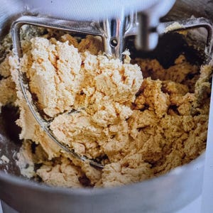 Peppermint cookie dough - freeze dried peppermint cookie dough bites-shelf stable cookie dough-heat treated flour safe cookie dough