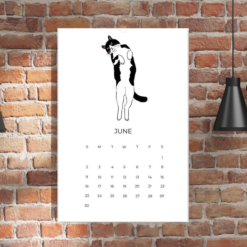 Tuxedo cats 2024 wall calendar whimsical cats calendar cat etsy ireland