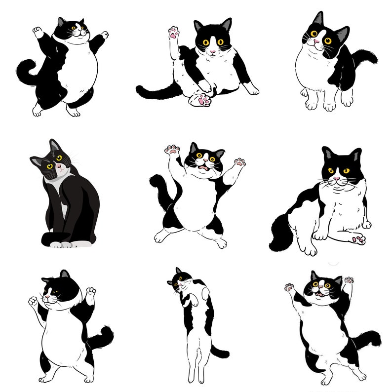 Tuxedo Cats 2024 Wall Calendar Whimsical Cats Calendar Cat Etsy Ireland