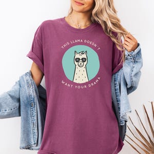 Retro Lama Shirt, Vintage Style Lama T-Shirt, Lama Liebhaber Geschenk, lustiges Alpaka Shirt, Tierliebhaber T-Shirt, Bauer Shirt, Mama Lama Shirt