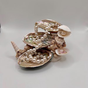 May include: A decorative arrangement of seashells and abalone shells, adorned with strands of white pearls. The display includes a small conch shell and a pair of earrings, creating a coastal-themed aesthetic.