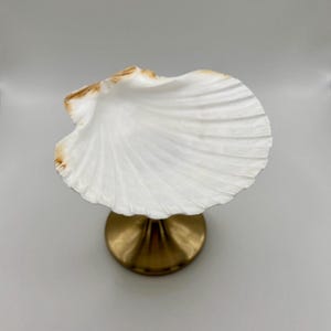 Op de afbeelding: Een decoratieve schelpvormige schaal met een wit, getextureerd oppervlak en een goudkleurige basis. De zeeschelp heeft bruine accenten op de randen. De schaal is ontworpen om kleine items in te bewaren en voegt een vleugje kust toe.