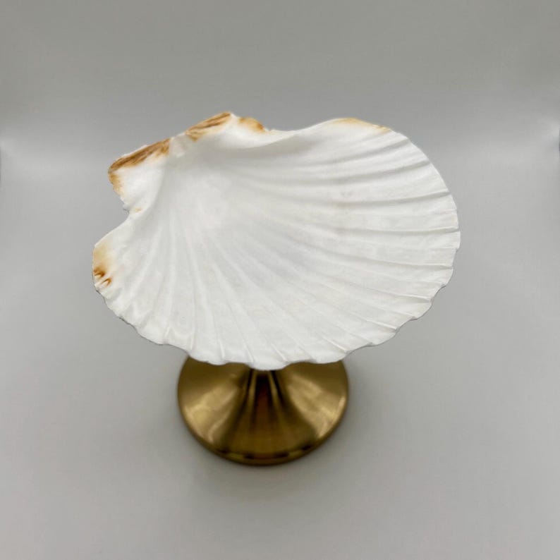 Op de afbeelding: Een decoratieve schelpvormige schaal met een wit, getextureerd oppervlak en een goudkleurige basis. De zeeschelp heeft bruine accenten op de randen. De schaal is ontworpen om kleine items in te bewaren en voegt een vleugje kust toe.