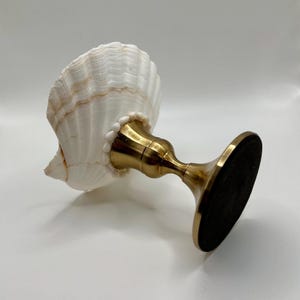 Op de afbeelding: Een decoratieve schelpenkaarsenhouder. De witte schelp is bevestigd aan een goudkleurige metalen voet. De voet heeft een ronde voet en een gebogen steel. De schelp is wit met bruine accenten.