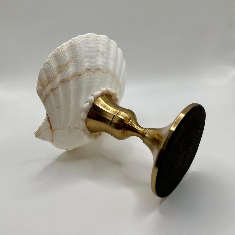Op de afbeelding: Een decoratieve schelpenkaarsenhouder. De witte schelp is bevestigd aan een goudkleurige metalen voet. De voet heeft een ronde voet en een gebogen steel. De schelp is wit met bruine accenten.