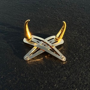 May include: Two gold hair clips with a pointed, horn-like design. The clips are crossed over each other.