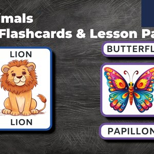 French 24 Animal Vocabulary Flashcards - Complete Lesson & Learning Pack for Kids - Instant Printable Digital Download