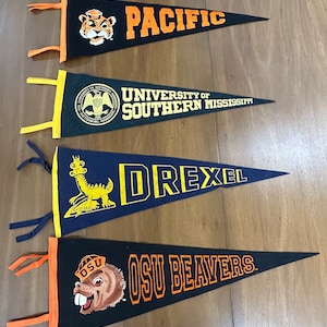 Vintage 20” University Pennants - Your Choice! - Multiple Vintage Felt Pennants