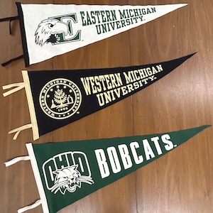 Multiple Vintage College Pennant - Michigan - Ohio - Cleveland - Akron - Buffalo - Tennesse