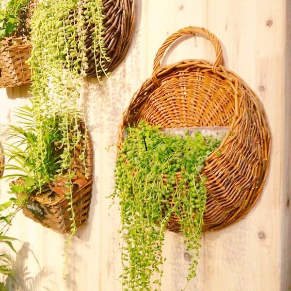 Wall Hanging Planter Etsy