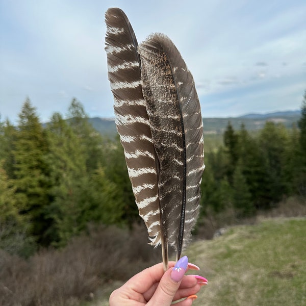 Real Turkey Feathers Natural Bird Feathers Cottagecore Feather Crafts Feather Decor Feather Art