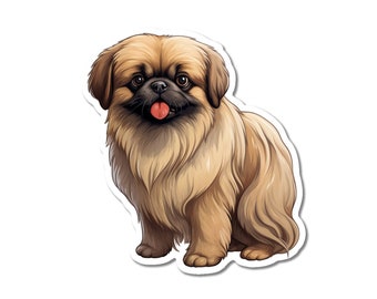 Peut inclure: Un chien pékinois brun et blanc avec un long pelage duveteux. Le chien est assis, la langue tirée, et regarde la caméra.