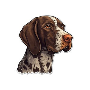 Puede incluir: Un perro Braco Alemán de pelo corto marrón y blanco con ojos marrones mirando hacia la derecha. La cabeza y el cuello del perro son visibles en la imagen.