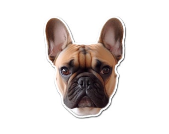 Op de afbeelding: Close-up van het gezicht van een Franse Bulldog. De hond heeft bruin en zwart haar, met grote, donkere ogen en een gerimpelde neus.