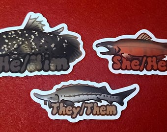 IN STOCK - PRONOUN Stickers Fish 3 Inch Vinyl Weatherproof