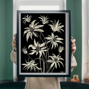 Digital Art Download of Australian Flora Australian Flannel Flower, wall art, flower art, instant download Aussie Flowers, black & white art