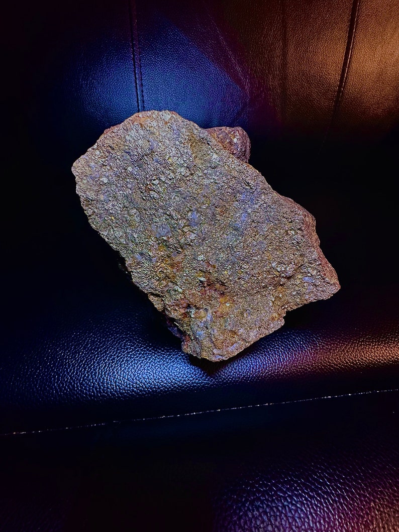 EXTREMELY High Grade Gold Ore Specimen Etsy