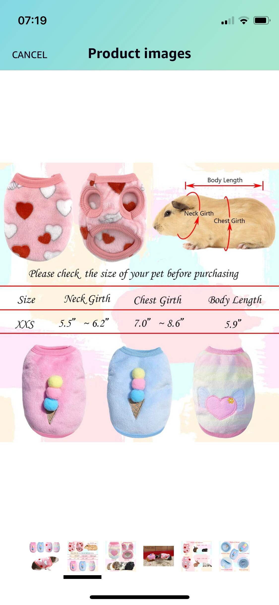 Guinea Pig Jumper Etsy Australia