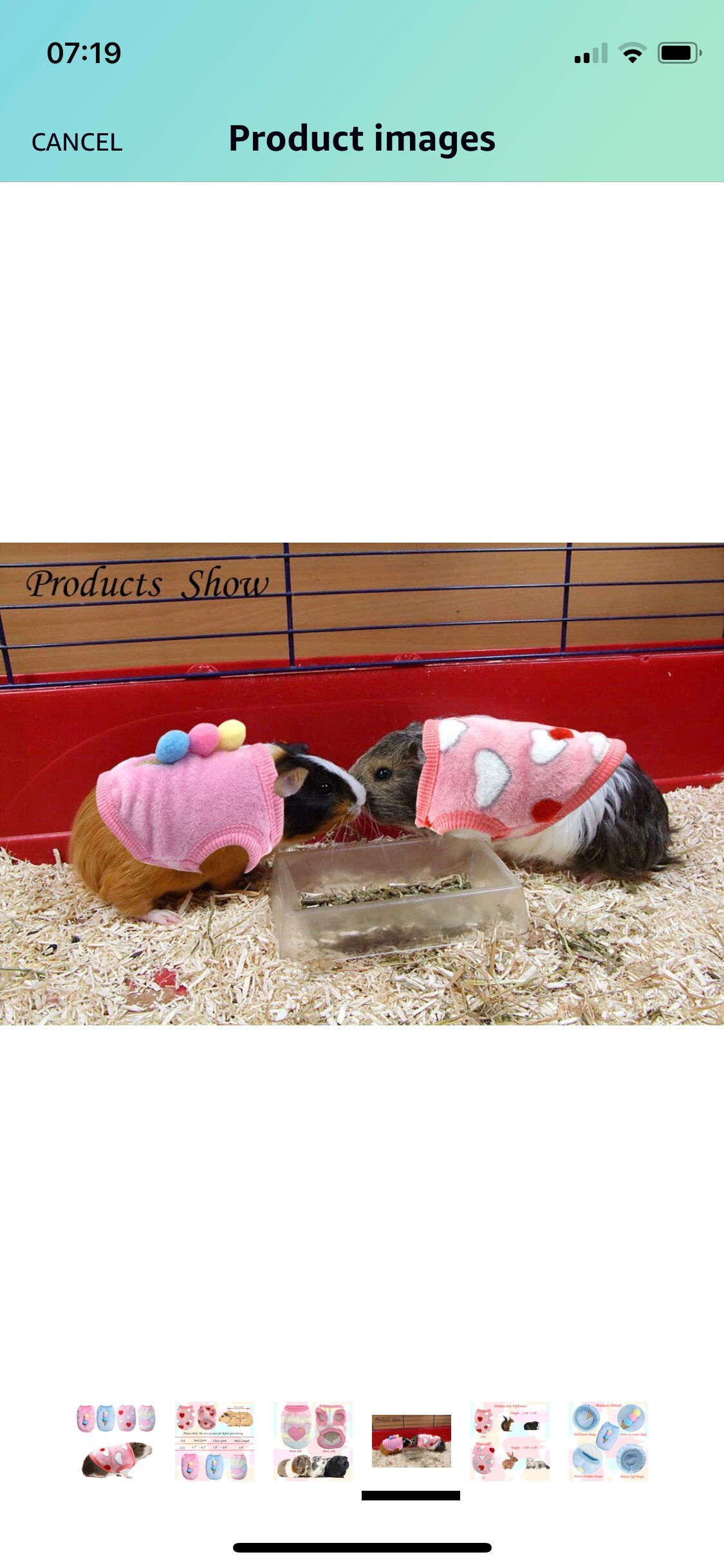 Guinea Pig Jumper Etsy Australia