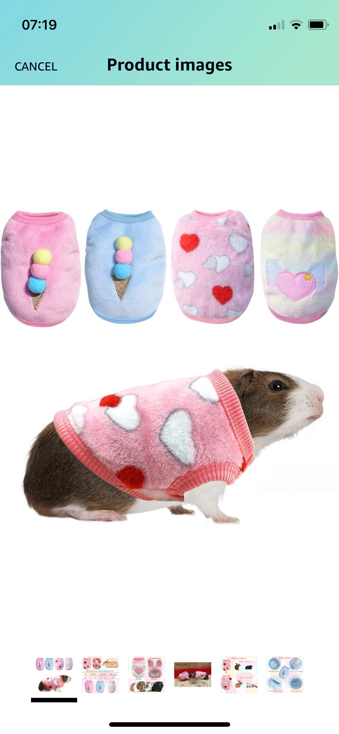 Guinea Pig Jumper Etsy Australia