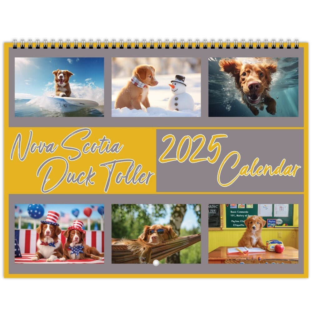 nova-scotia-duck-toller-calendar-2025-toller-wall-calendar-dog-wall-calendar-2025-12-month-hanging-wall-calendar-duck-toller-gifts-etsy