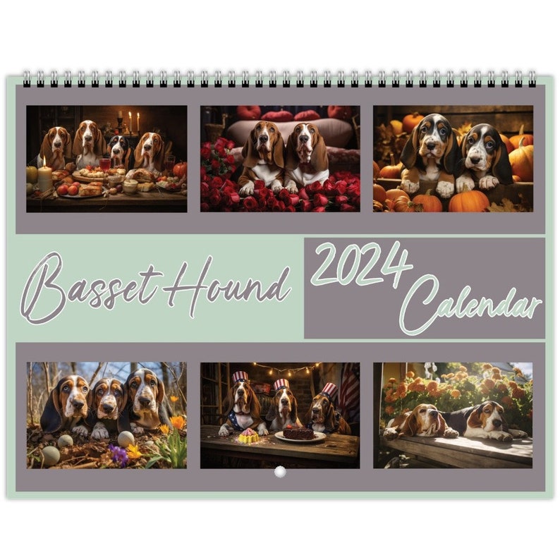 Basset Hound Calendar 2024 Basset Hound Wall Calendar Gift Dog Wall Basset Hound Calendar 2024 Basset Hound Wall Calendar Gift Dog Wall