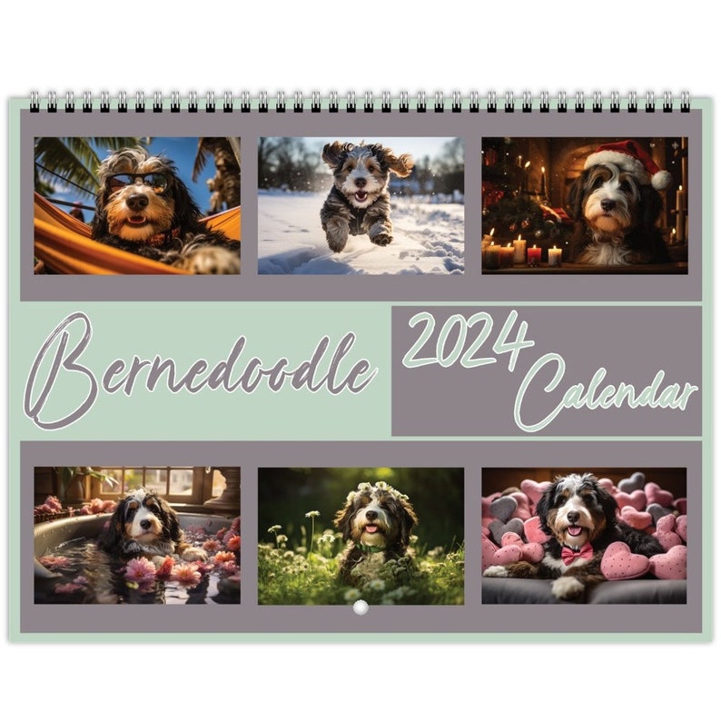 Bernedoodle Calendar 2024 Bernedoodle Wall Calendar Gift Dog Wall