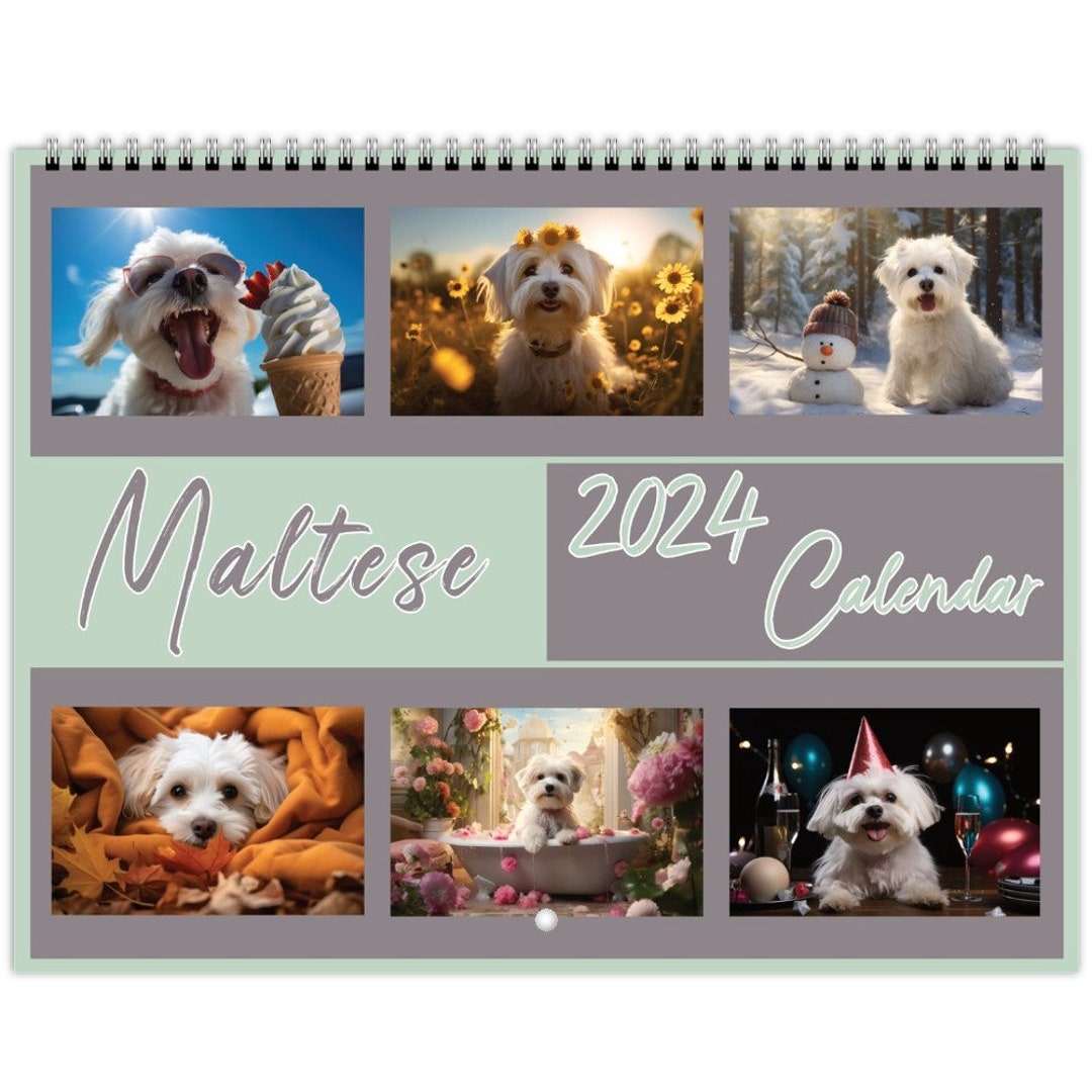 Maltese Calendar 2024 Maltese Wall Calendar Gift Dog Wall Calendar 2024