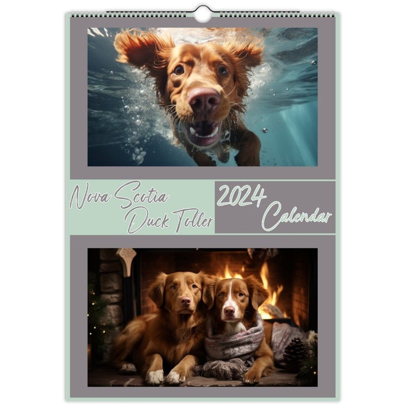 Nova Scotia Duck Tolling Retriever Calendar 2024 Nova Scotia Duck