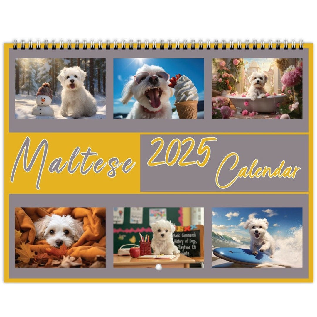 Maltese Calendar 2025 Maltese Wall Calendar Dog Wall Calendar 2025 12