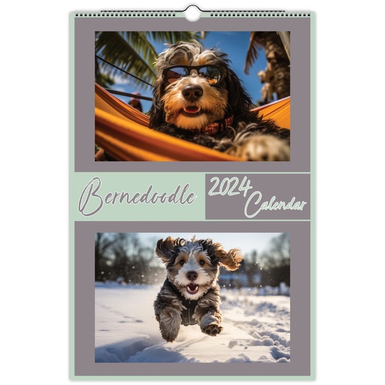 Bernedoodle Calendar 2024 Bernedoodle Wall Calendar Gift Dog Wall