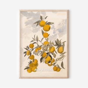 Küche Bauernhaus Wand Kunst, Orange Obst Malerei, Vintage Kunst DRUCKBARE digitaler Download Kunst, Bauernhaus Malerei, Vintage Art #149