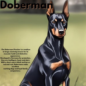 Doberman|Dog|Pet|Wall Art|Pet Lovers|Dog Owners|Pincher|Germany|Gurdian|Friend