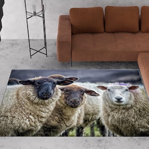 Op de afbeelding: Rechthoekig vloerkleed met drie schapen met dikke, lichtgekleurde wol. De schapen hebben zwarte en bruine gezichten, met één schaap met een paarse accent. Het vloerkleed is voor een bruine bank geplaatst.