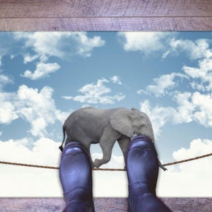 Acrobat Elephant Rug,Abstract Rugs,Animal Rug,Personalized Gifts,Thick Rug,Gift For The Home,Small Rug,Decor Canvas,Holiday Decor Art,Home Decoration,Wall Decoration,Christmas Gifts,Gift For Him,