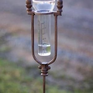 Rustic Cast Iron Acorn Rain Gauge Stake