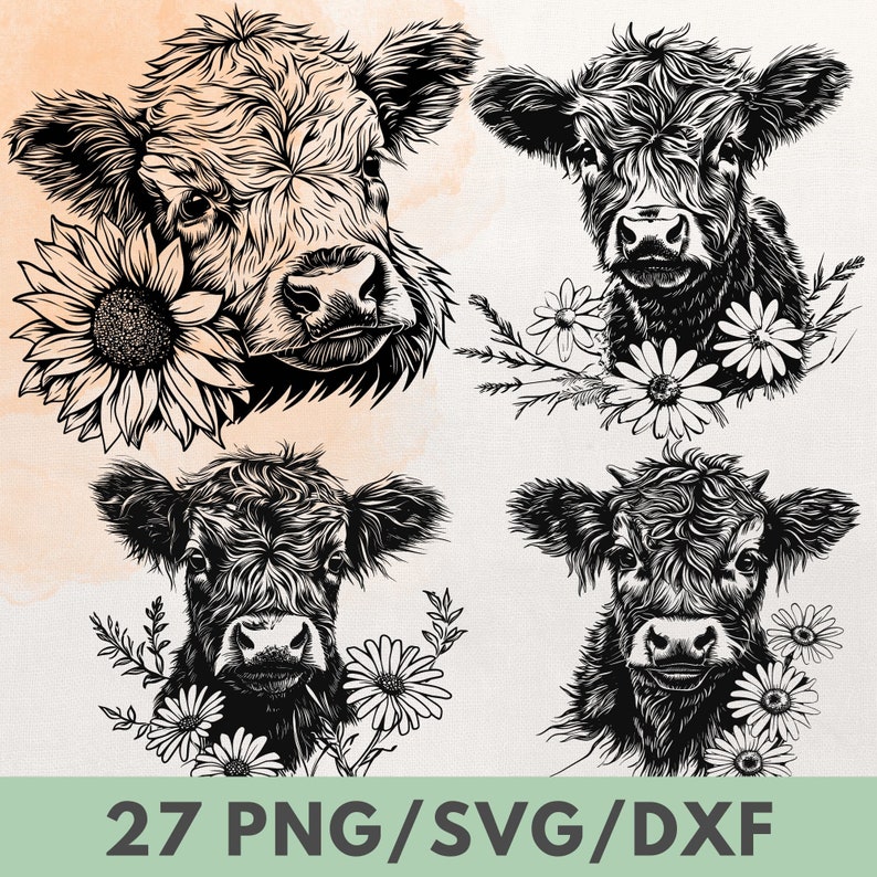 May include: Four black and white illustrations of Highland cattle with floral accents. The cattle are facing forward with their heads tilted slightly down. The flowers are daisies and sunflowers.
