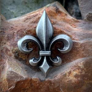 Pin/insignia de la flor de lis