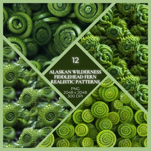 May include: A set of 12 digital patterns featuring close-up images of fiddlehead ferns. The patterns are high-resolution, 2048 x 2048 pixels, and 300 DPI. The images are in PNG format. "Alaskan Wilderness Fiddlehead Fern Realistic Patterns" is written in the center of the image.
