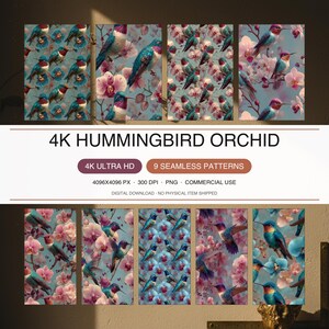 4K Hummingbird Orchid PNG Clipart 9 Pack Birding Art Tropical Bird Digital Paper
