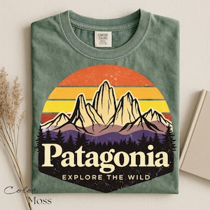 Vintage Patagonia Tshirt - Etsy